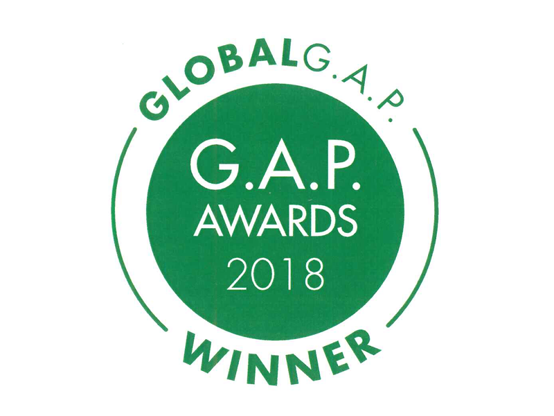 2018 G.A.P Awards Winner ALARA TARIM